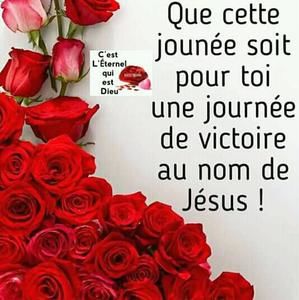 Meet your Posher, Karline